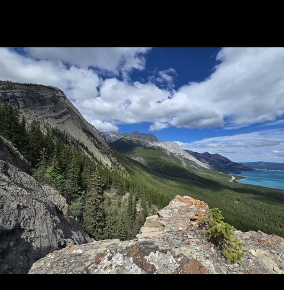 THANKFULCLOSET GOES LIVE ALERT!! $7 STARTS ALWAYS. - Picture 9 of 10